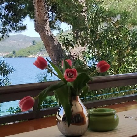 Holiday Home Milenka Rogoznica  Kültér fotó